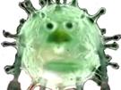 coronavirus-19-serieux-blase-drole-tete-medecine-other-covid-meme-virus-grippe-rhume-fusion-twitter-medecin-twittos-ahuri-shrek