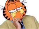 gros-other-chat-garfield-perplexe