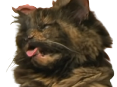 zombie miao chat jvc