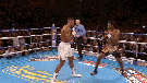 other-lourds-boxe-knockout-anthony-joshua-charles-poids-martin