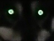 gevaudan bete loup monstre demon yuko