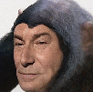 deepfake-chimpanze-jesus-issou-singe-risitas