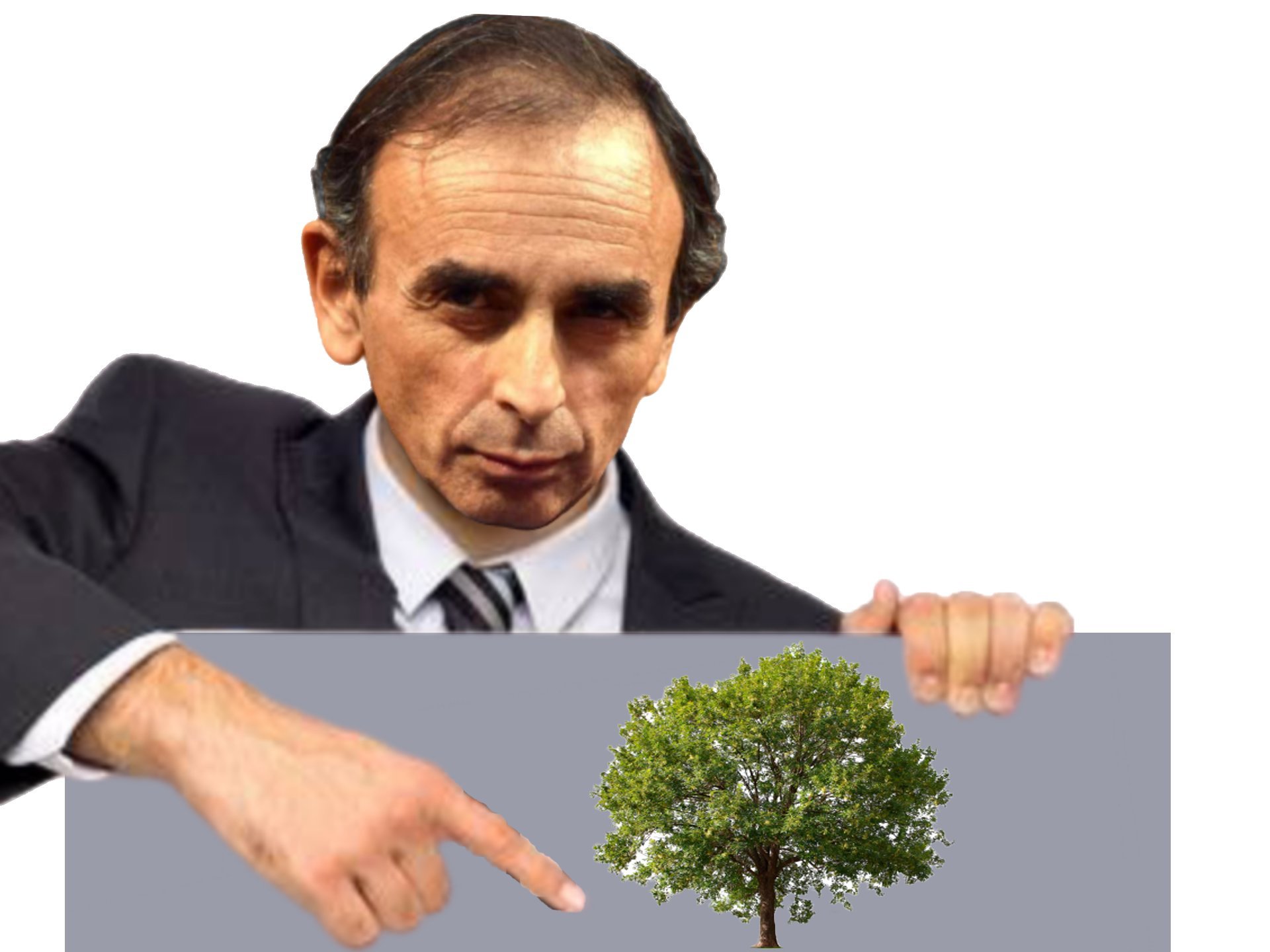 eric politic montre zemmour arbre