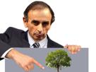 eric-politic-montre-zemmour-arbre