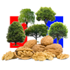 noix-france-arbres-other-drapeau