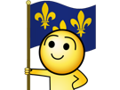 valois-de-royaume-monarchie-other-france-drapeau