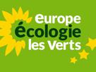 les-verts-election-europe-jadot-presidentielle-2022-yannick-politique-ecologie-france-politic-eelv