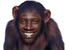singe-sy-omar-chimpanze