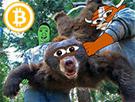 bourse-bull-bitcoin-crypto-other-bear-run-trader-etranglement