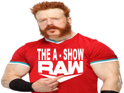 other sheamus lesnar504