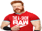 other-sheamus-lesnar504