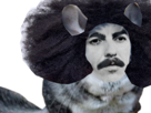 george-beatles-faille-cheveux-other-harrison-afro-chinchilla