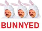 crypto-bnny-nft-bunny-bunnyed-scam-other