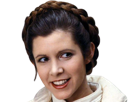 organa-princess-hoth-strikes-fischer-v-princesse-leia-back-other-carrie-empire-outifts-star-wars