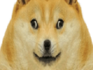 mirroir-doge-dogecoin-other-wow