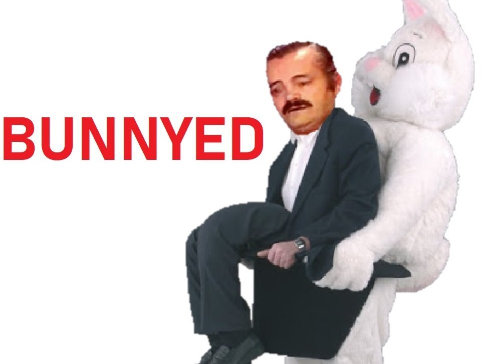 nft bunny lapin bunnyed scam