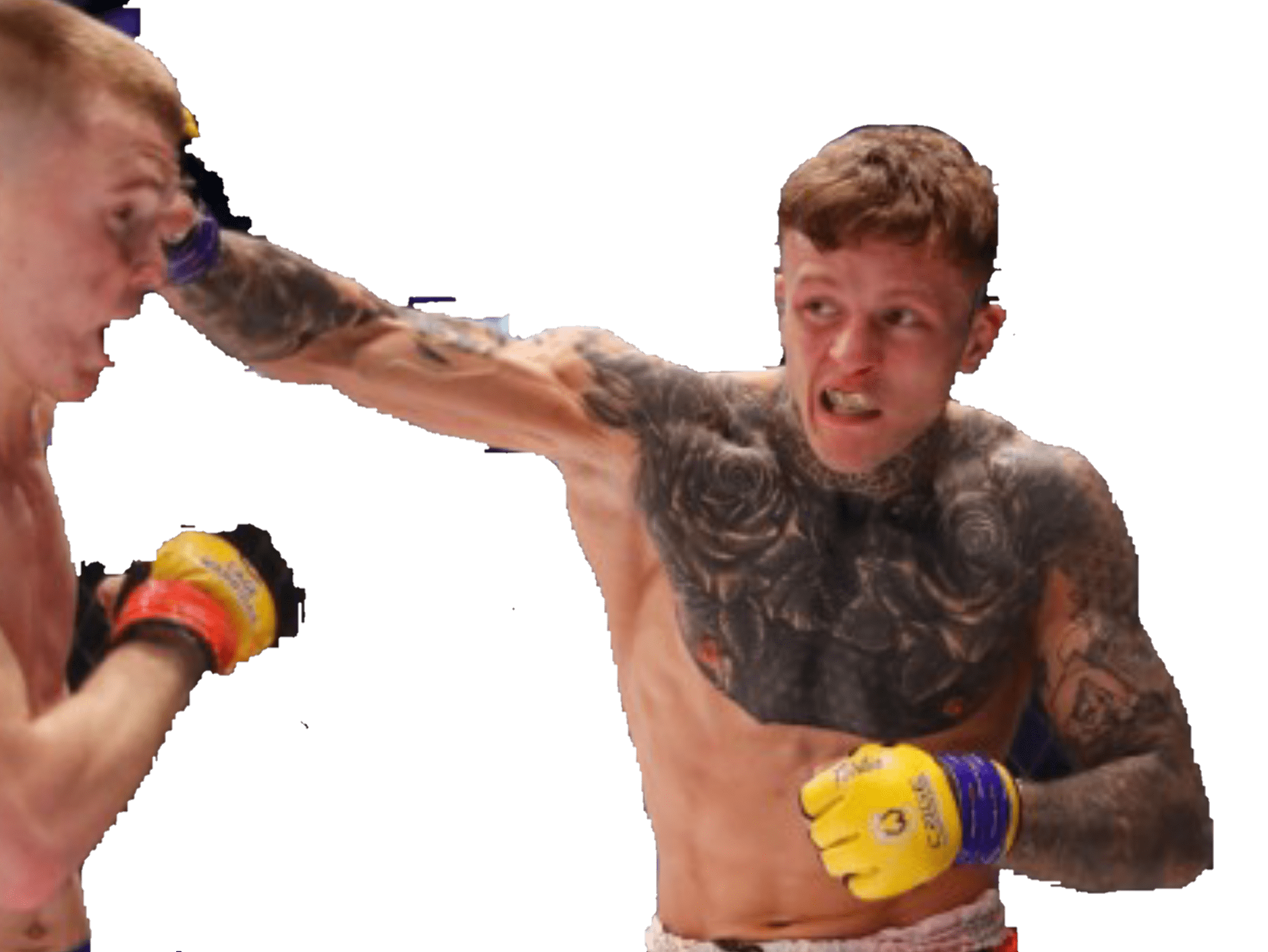 vucenic risitas jordan ufc mma