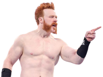 lesnar504 sheamus