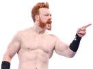 lesnar504-sheamus-other
