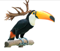 cerf-poste-toucan-ou-cancer-other