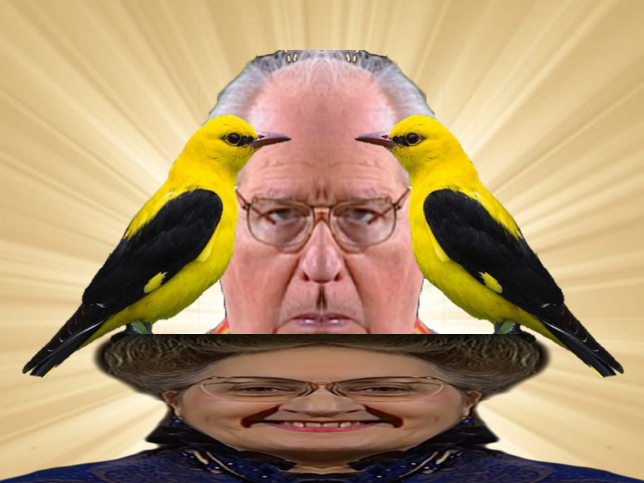 loriod classique yvonne oiseau loriot musique other messiaen