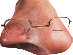 larry nez chance lunette j lunettes juif silverstein radin argent