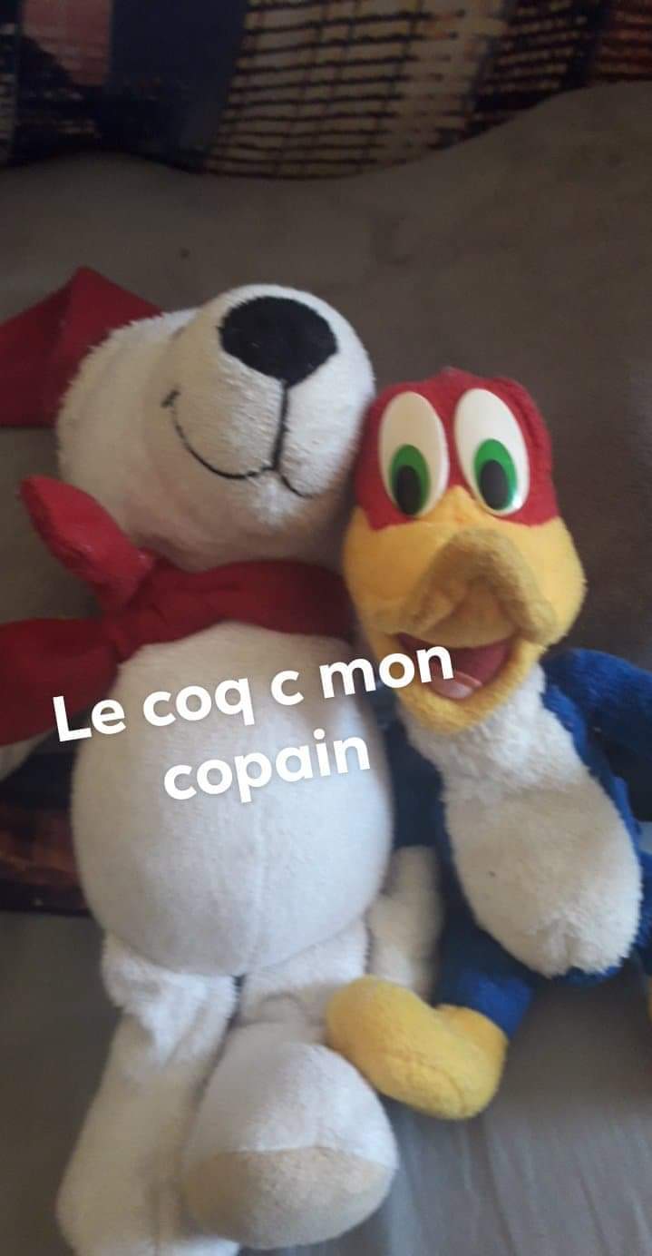 copain mon cest risitas coq risignol le