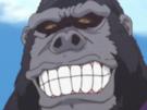 anime-risitas-gorille-adf-furry-singe