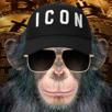 bitcoin-binance-icon-bonobolambo-ether-jvc-investi-finance-bonono-monero-dump-lambo-monkey-pump-singe-casquette