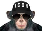 risitas-singe-bonobolambo-binance-dump-lambo-monkey-monero-bonono-casquette-investi-bitcoin-finance-icon-pump-jvc