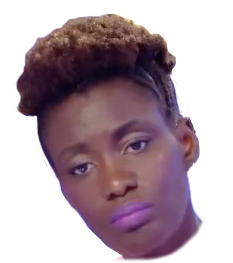 risitas camp racise blm de bien rokhaya diallo du groupe parole triste pepita