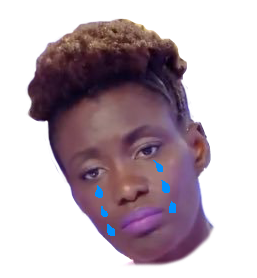 parole triste bien groupe camp risitas blm de rokhaya diallo du pepita racise