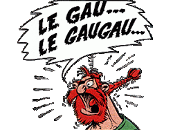 risitas gaulois gaugau gau soldatgaulois