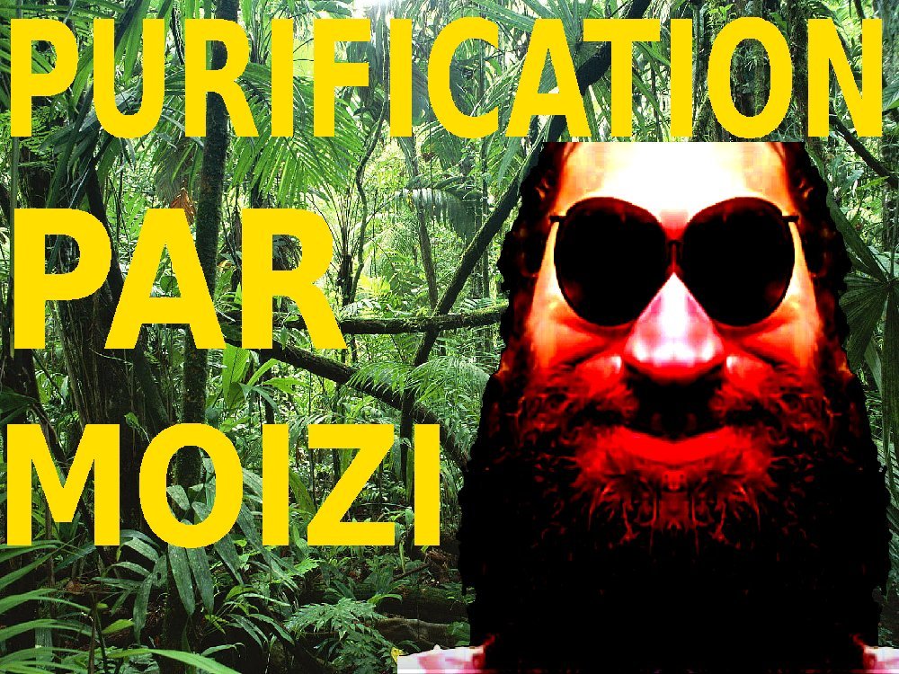 seins moizi analgenocide jungle nu purification