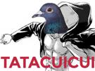 titan-end-oiseau-ending-lattaque-leak-isayama-jager-pigeon-chapitre-kikoojap-dernier-cui-tatak-des-shingeki-hajime-snk-kyojin-bird-no-last-cuicui-eren-on-zekken-attack-titans-fin-bide-chapter
