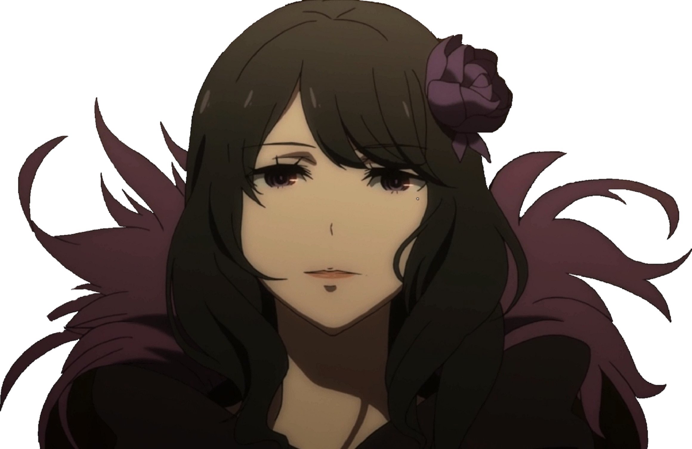 kj elsa kikoojap rezero