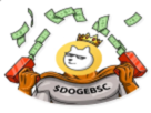dogecoin-bsc-other-binance-bitcoin-dogebsc-doge