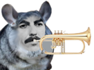 harrison-beatles-bugle-faille-other-instrument-chinchilla-george-cornet-trompette-musique