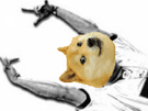 hell-baseball-wow-yeah-dogecoin-doge-other-guy