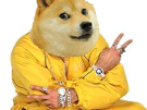 it-g-dogecoin-wow-doge-style-impose-ali-other-keep-real-ton