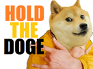 it-dogecoin-wow-g-your-impose-hold-real-ton-ali-style-doge-other-keep