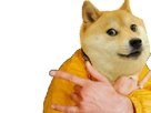 keep-your-impose-it-ton-ali-g-wow-dogecoin-style-other-doge-hold-real
