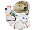 wow-x-doge-nasa-cosmonaute-the-spationaute-other-moon-dogecoin-to-astronaut-astronaute-space