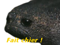 ok fait risitas moche chier golem boudeur crapaud