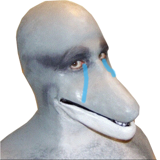 tristesse dauphumain risitas pleure dauphin