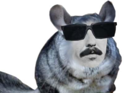 george faille harrison de juno other gilbert chinchilla montagne fan manoeuvre lunettes philippe beatles