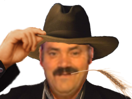 saluting salute greeting ble bg cowboy howdy chapeau partner risitas