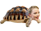 taylor-tortue-turtle-carapace-anya-joy-anyamon-ninja