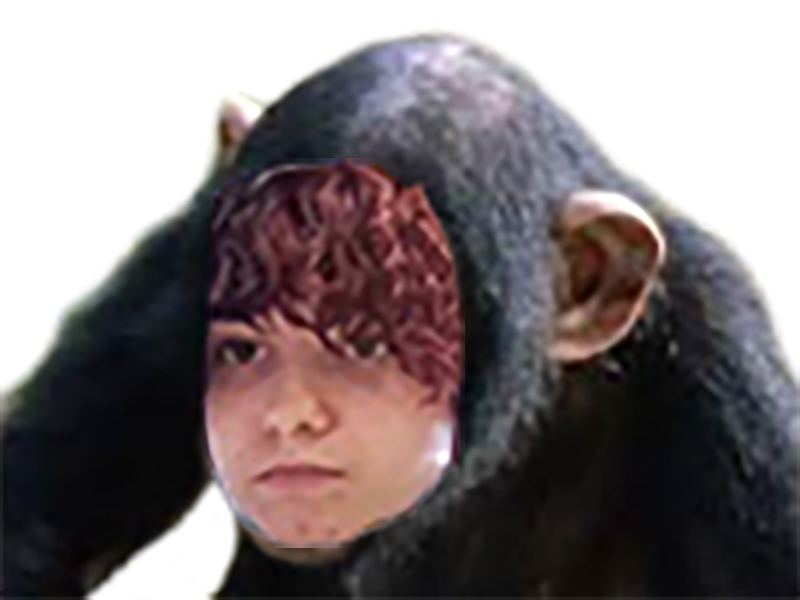 Sticker other twitch elysa deesse par DeesseElysa