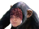 other twitch elysa deesse